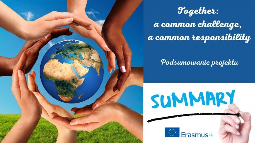 Podsumowanie projektu Together